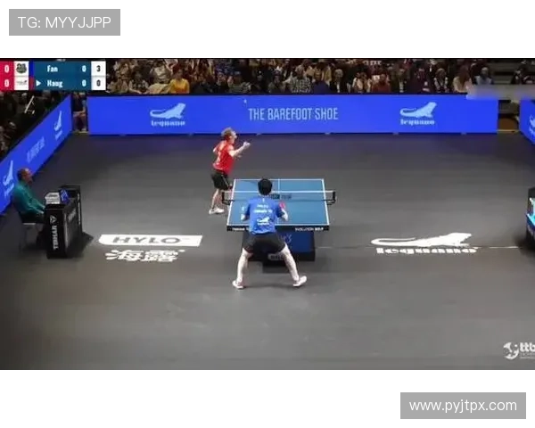 德甲战樊振东逆转萨队两球领先